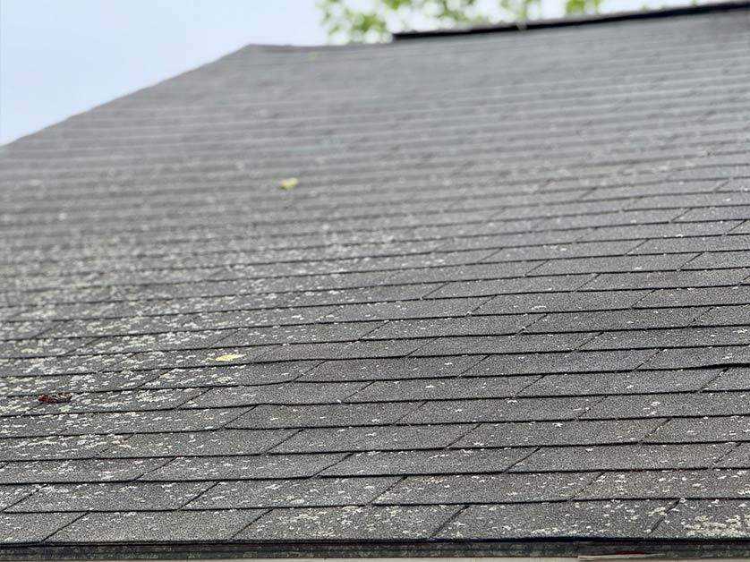 Recognizing Wind and Hail Damage on Your Roof
